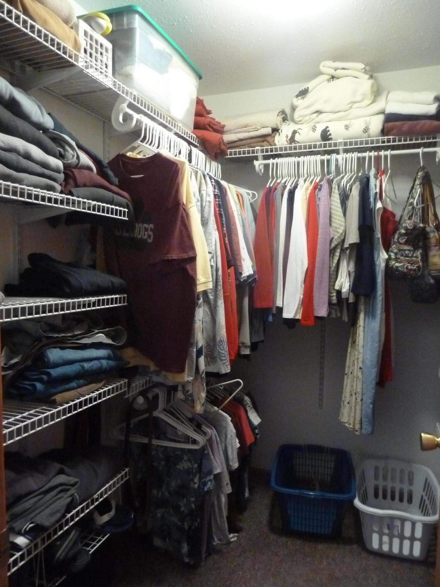 8294 West Territorial Road Montgomery, MI 49255 - Photo 65 of 94 P1160540