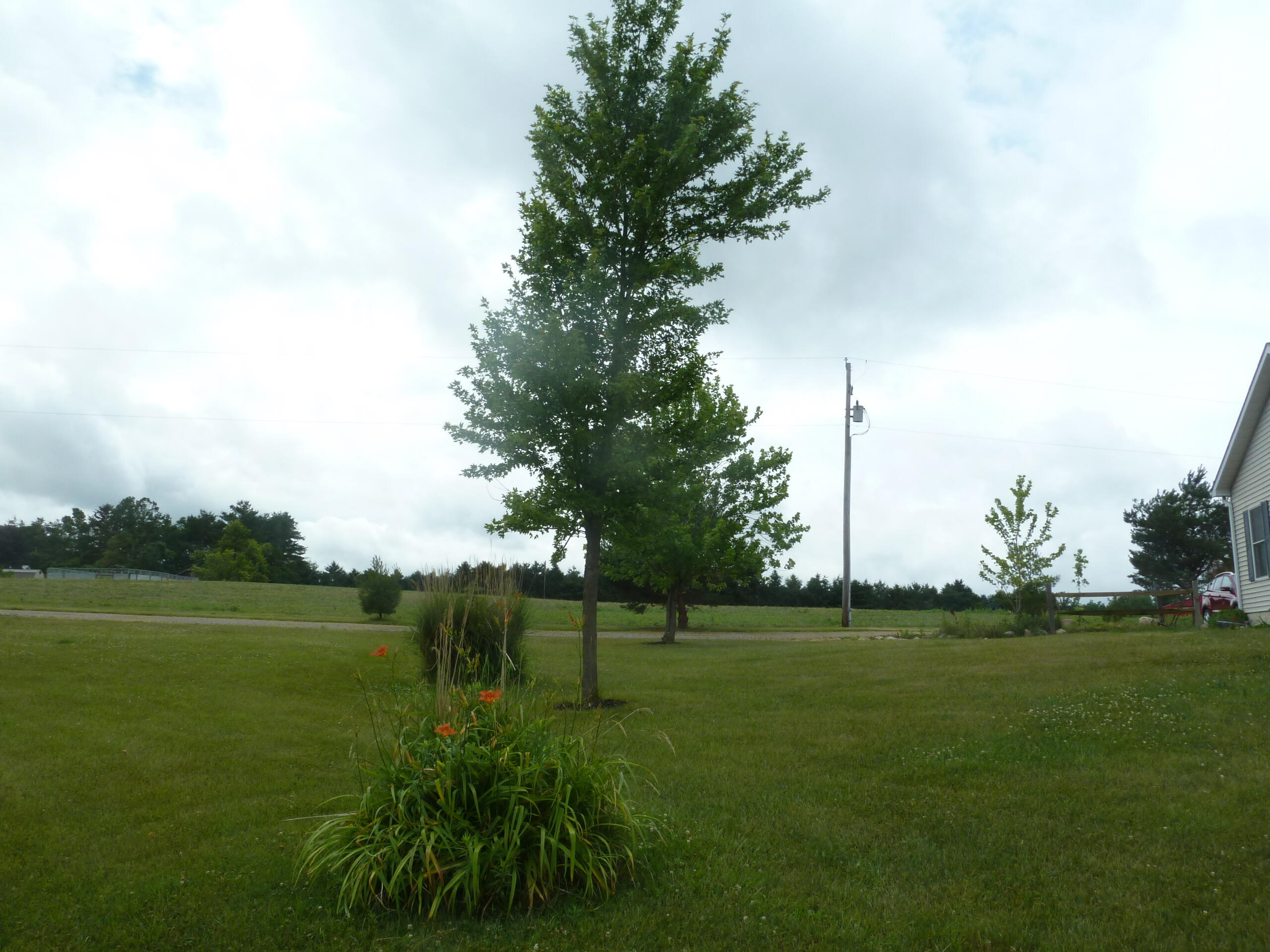 8294 West Territorial Road Montgomery, MI 49255 - Photo 8 of 94 P1160481