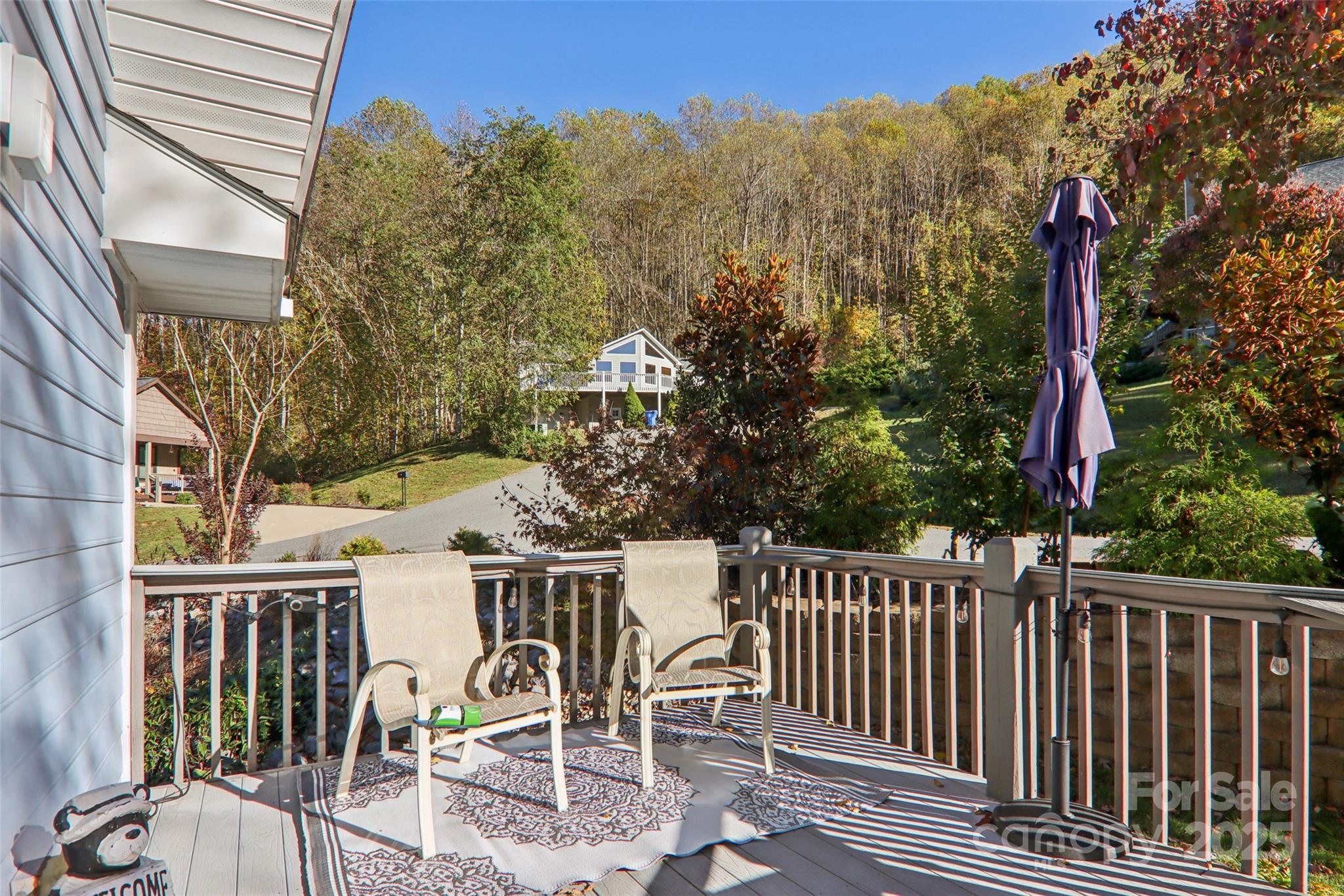 166 Linsonwood Ridge Waynesville, NC 28786 - Photo 32 of 39 a view of a patio with iron fence