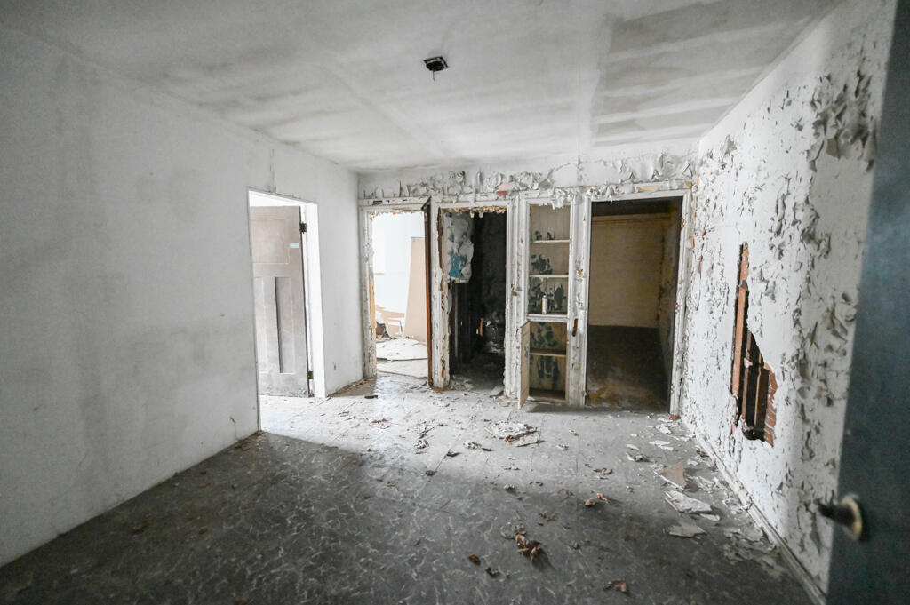 261 Chandler Street Detroit, MI 48202 - Photo 15 of 28 Super Headshots-89