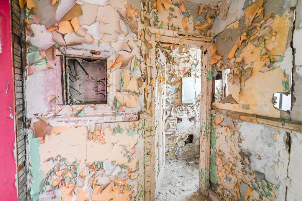 261 Chandler Street Detroit, MI 48202 - Photo 22 of 28 Super Headshots-79