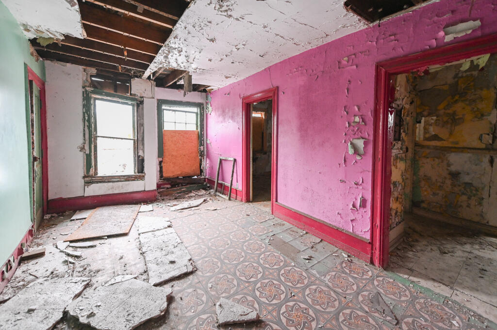 261 Chandler Street Detroit, MI 48202 - Photo 25 of 28 Super Headshots-81