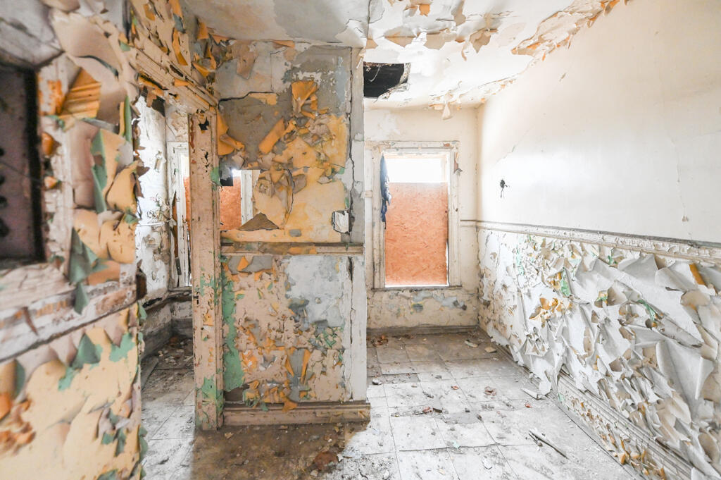 261 Chandler Street Detroit, MI 48202 - Photo 26 of 28 Super Headshots-80