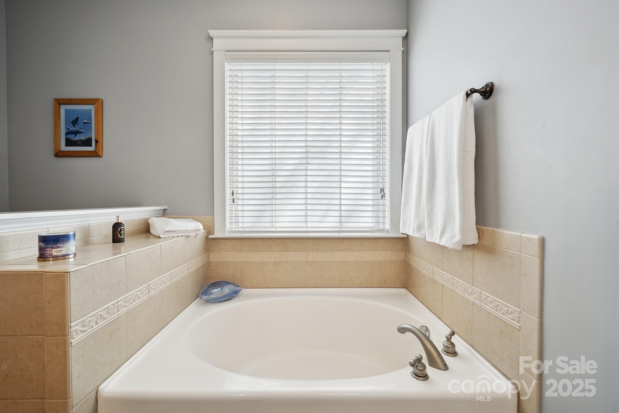 369 Shoreline Parkway Tega Cay, SC 29708 - Photo 19 of 40 a white bath tub sitting in a bathroom next to a window