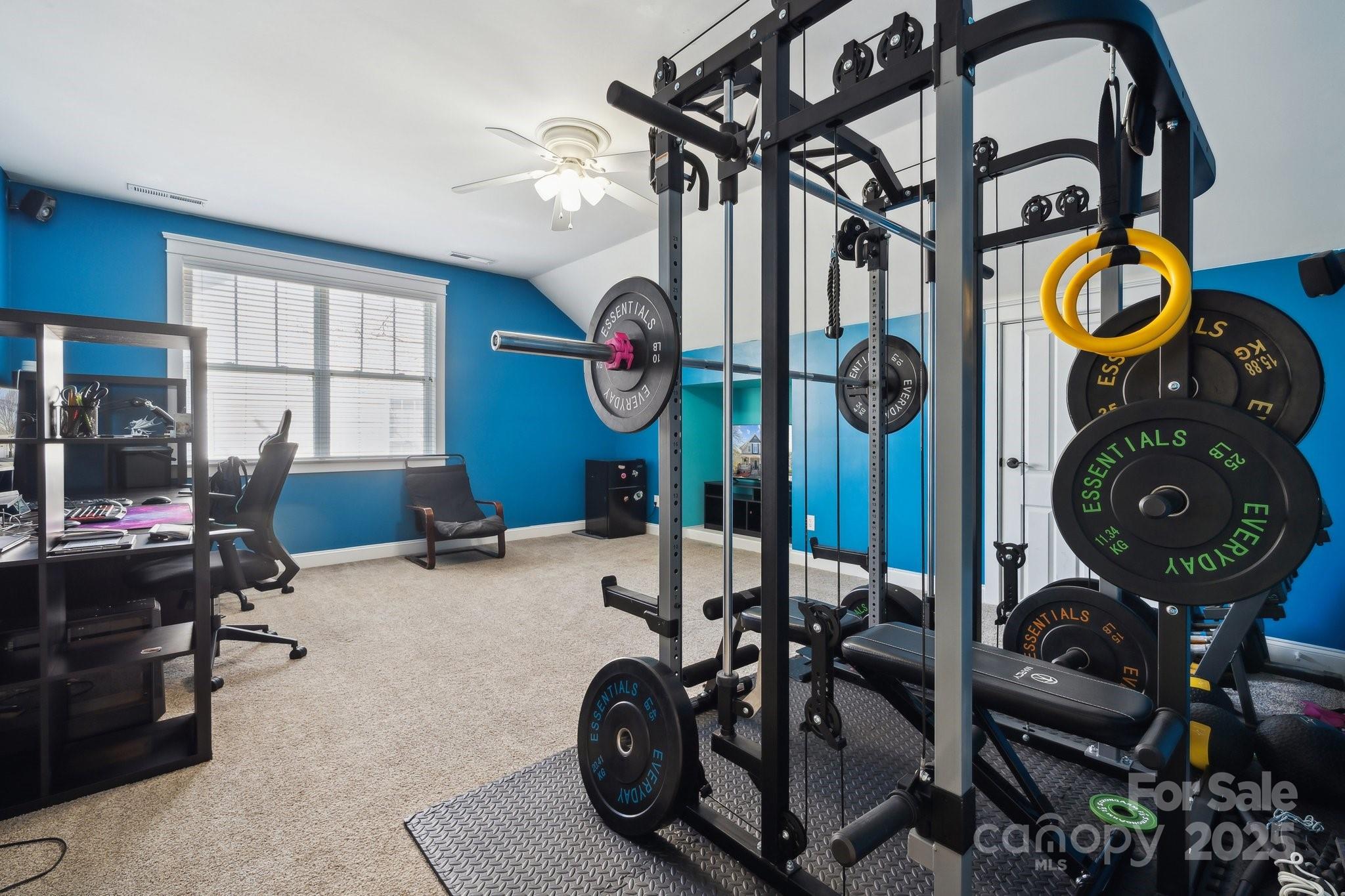 369 Shoreline Parkway Tega Cay, SC 29708 - Photo 25 of 40 a view of a room with gym equipment