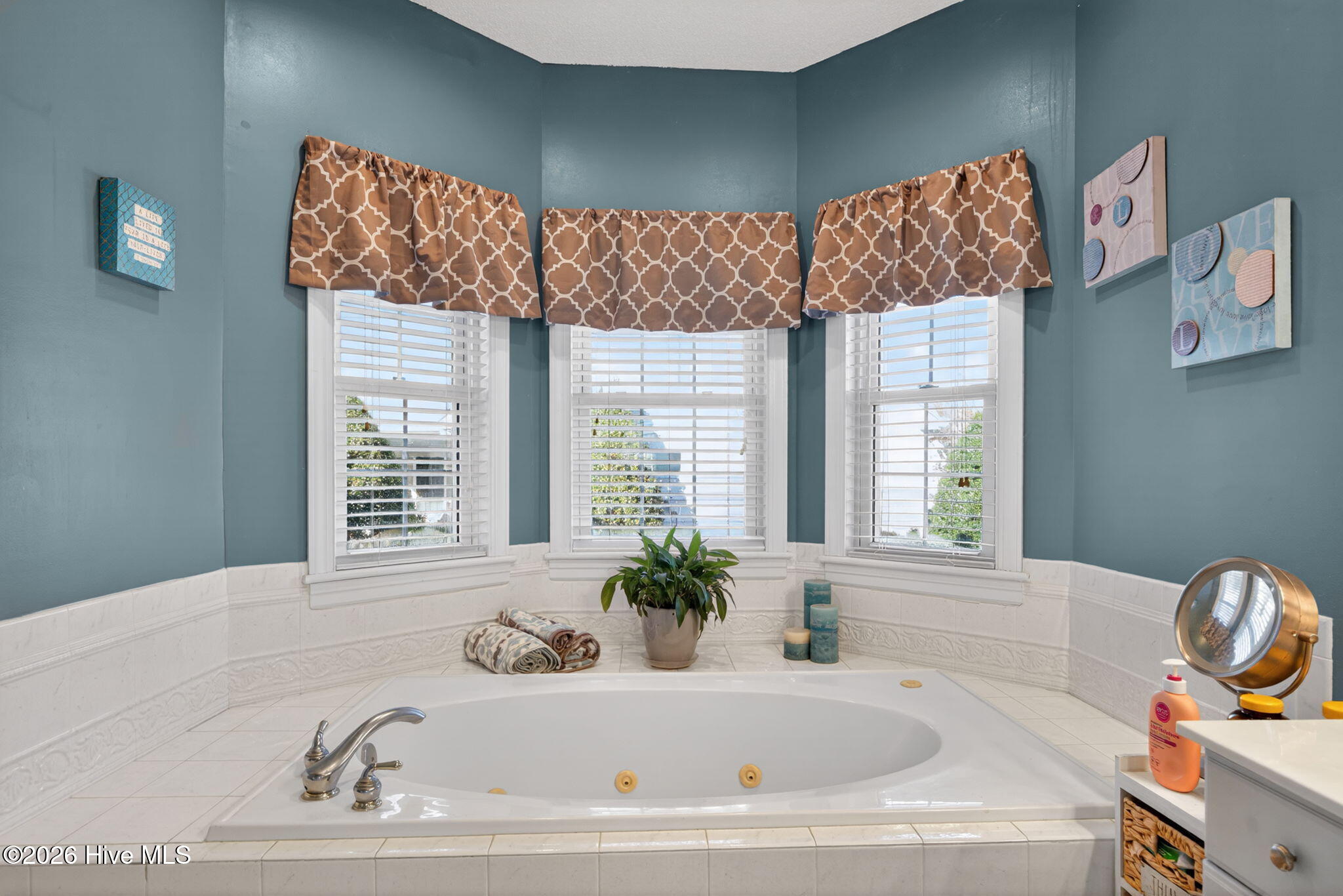 3701 Trace Drive Wilson, NC 27893 - Photo 20 of 43 Master Bath Jetted Tub