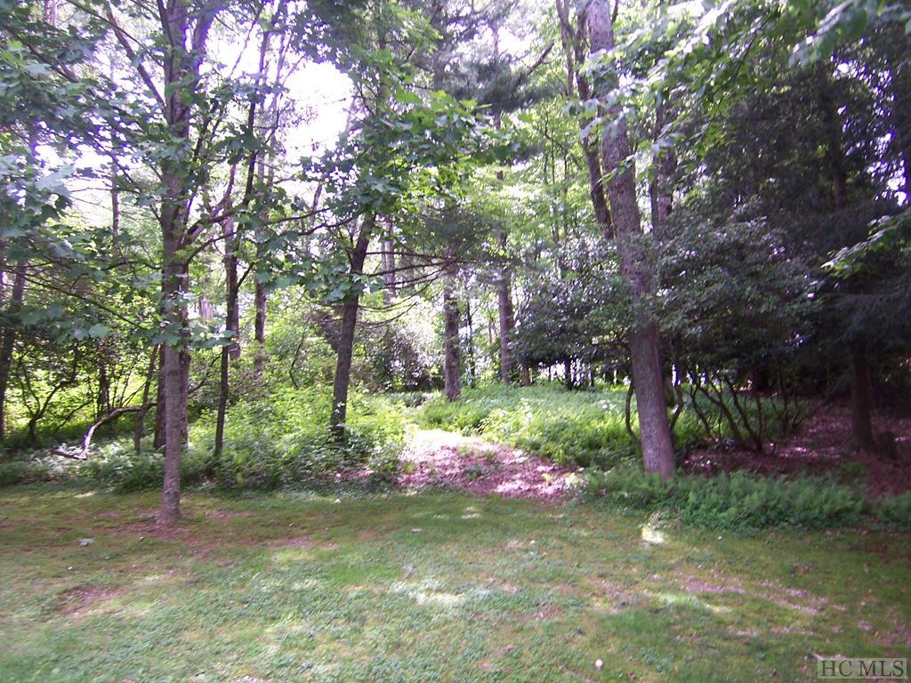 Lot 29 Ravenel Ridge Road Highlands, NC 28741 - Photo 1 of 2 Gallery Image 1