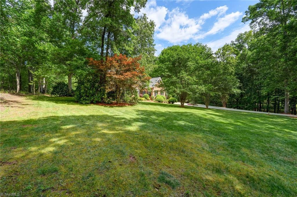 565 Irvin Farm Road Reidsville, NC 27320 - Photo 12 of 50 Gallery Image 12