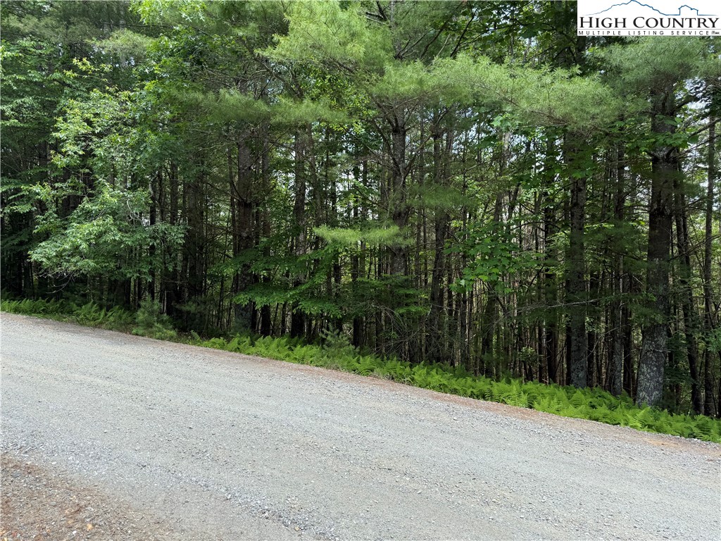 62 Daves Connector Road Jefferson, NC 28640 - Photo 3 of 16 a view of a street view