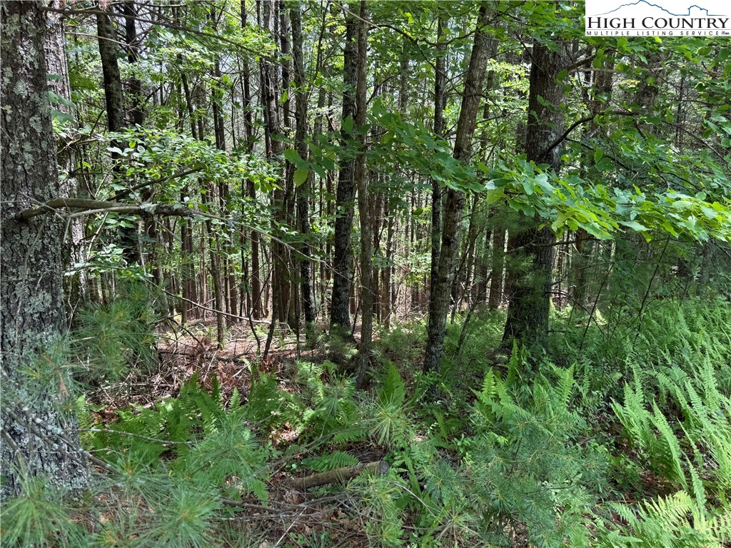 62 Daves Connector Road Jefferson, NC 28640 - Photo 10 of 16 a view of a garden