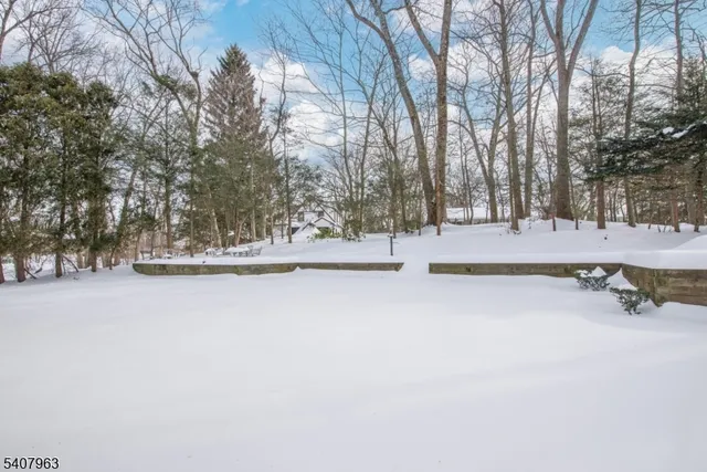 $989,000 | 63 Crane Road, Mountain Lakes, NJ 07046