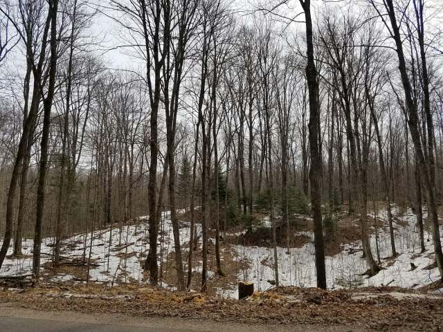 21-acres East Silver Lake Road Laona, WI 54541 - Photo 1 of 10 Gallery Image 1
