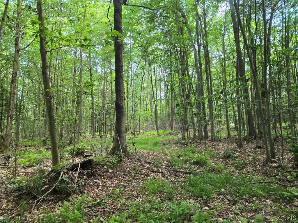 7988 Dowd Road Pike, NY 14735 - Photo 32 of 37