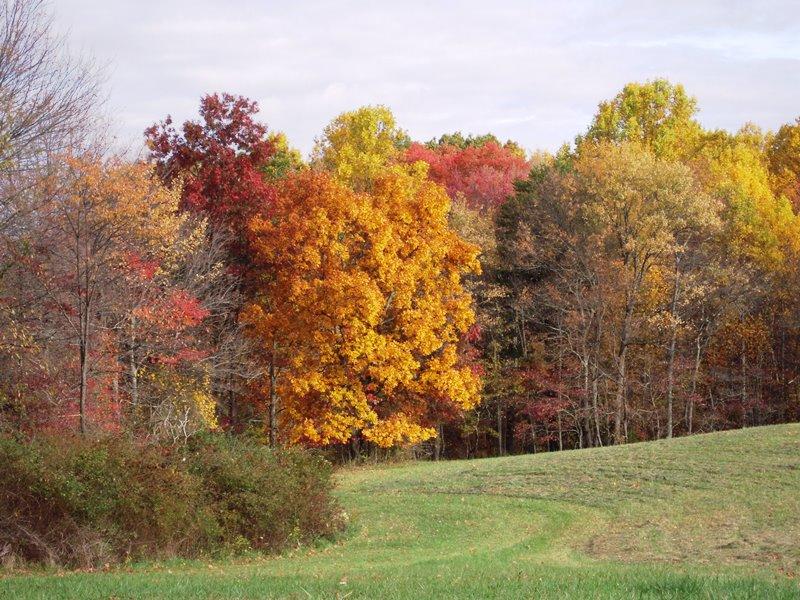 424 Sunset View Road Peterstown, WV 24963 - Photo 29 of 77 Gallery Image 29