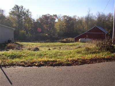 33531 Ralston Road Colon, MI 49040 - Photo 3 of 7 Additional Photo