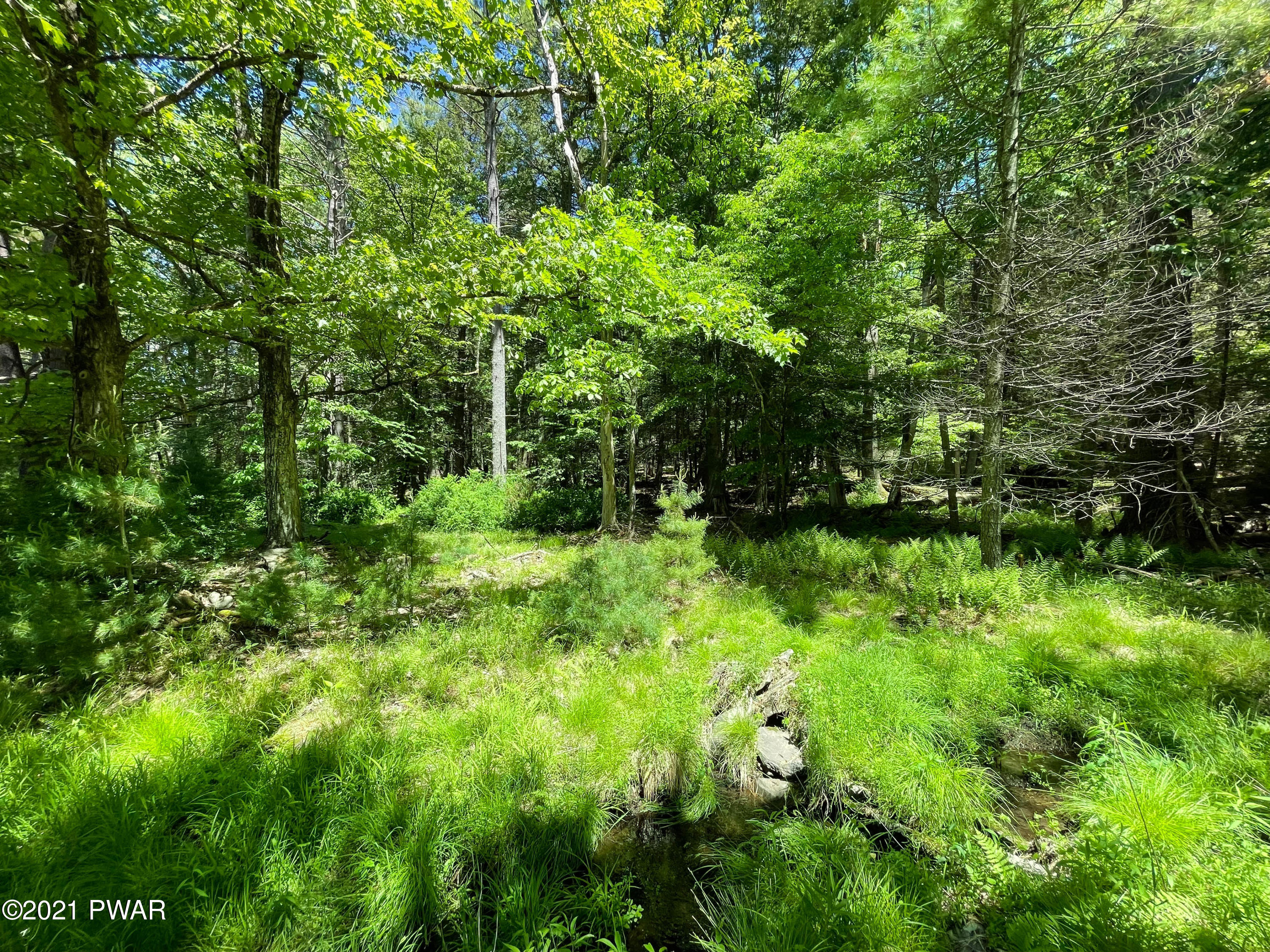 120 Bee Hollow Road Shohola, PA 18458 - Photo 15 of 38
