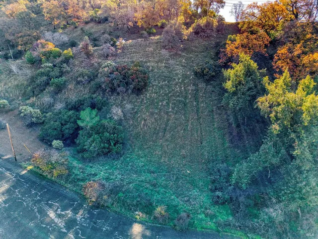 a view of a yard with a tree