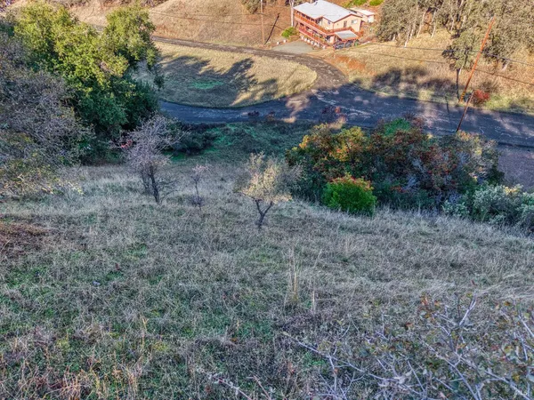 a view of a dry yard with lots of green space