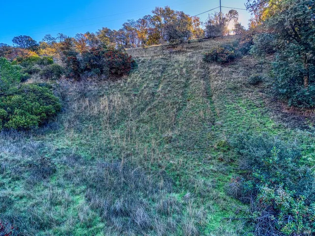 a view of a yard with mountain