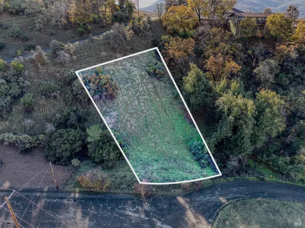 a view of a forest that has a forest