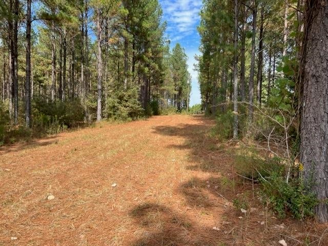 29277 Holmes Langford Road Opp, AL 36467 - Photo 11 of 41 Gallery Image 11