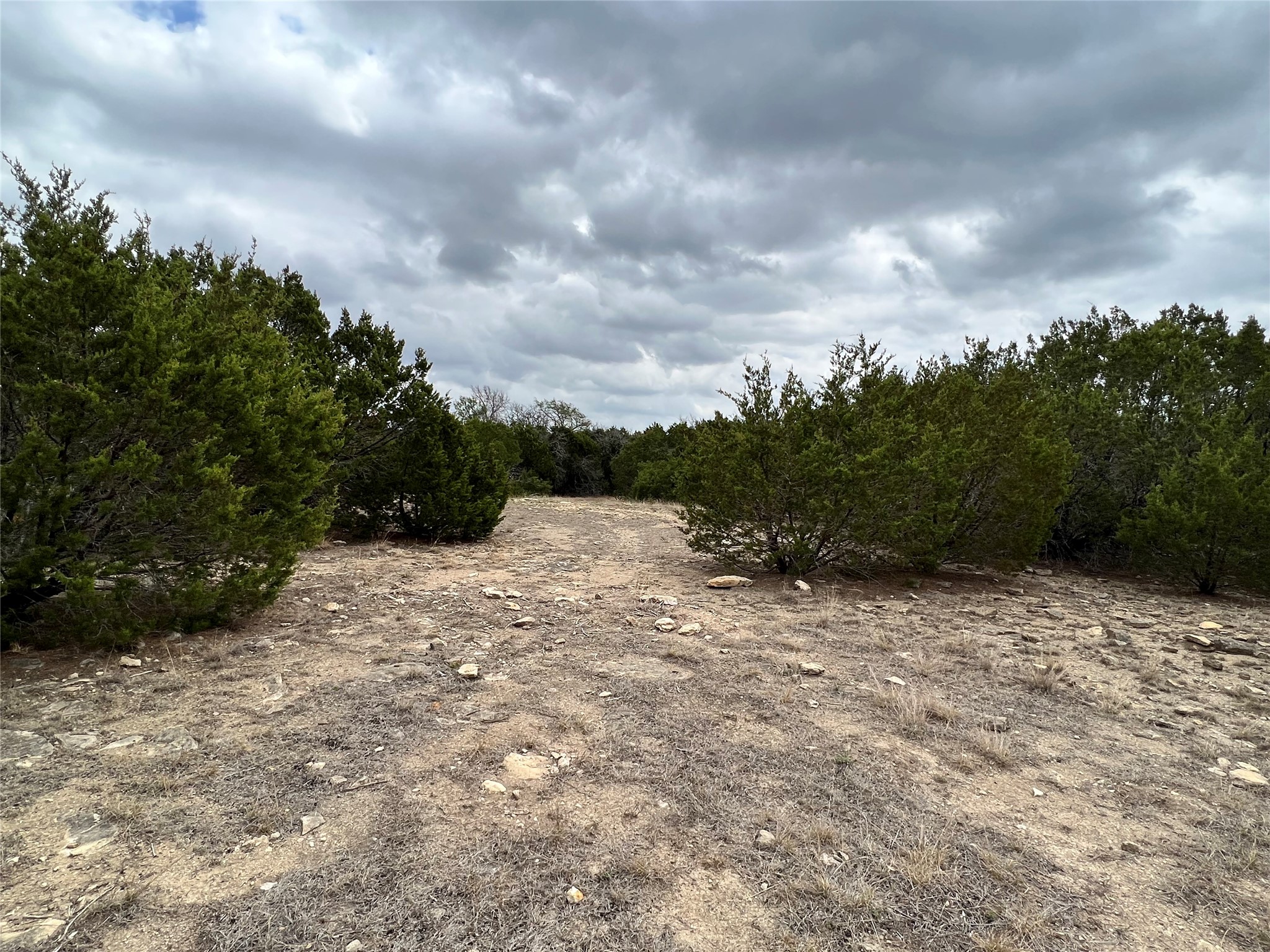 250 County Road 419 Evant, TX 76525 - Photo 4 of 14 a view of a dry yard with trees