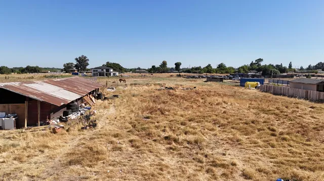 a view of ocean with trees