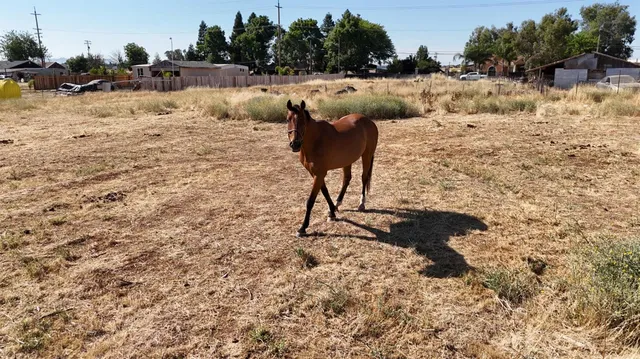a view of a backyard of the house