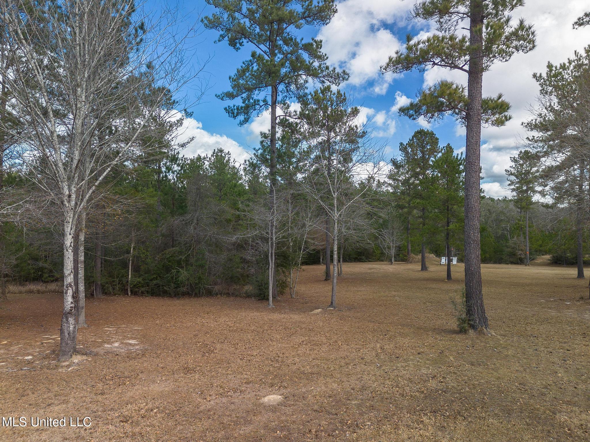 1061 East McHenry Road Perkinston, MS 39573 - Photo 24 of 28 Back Yard