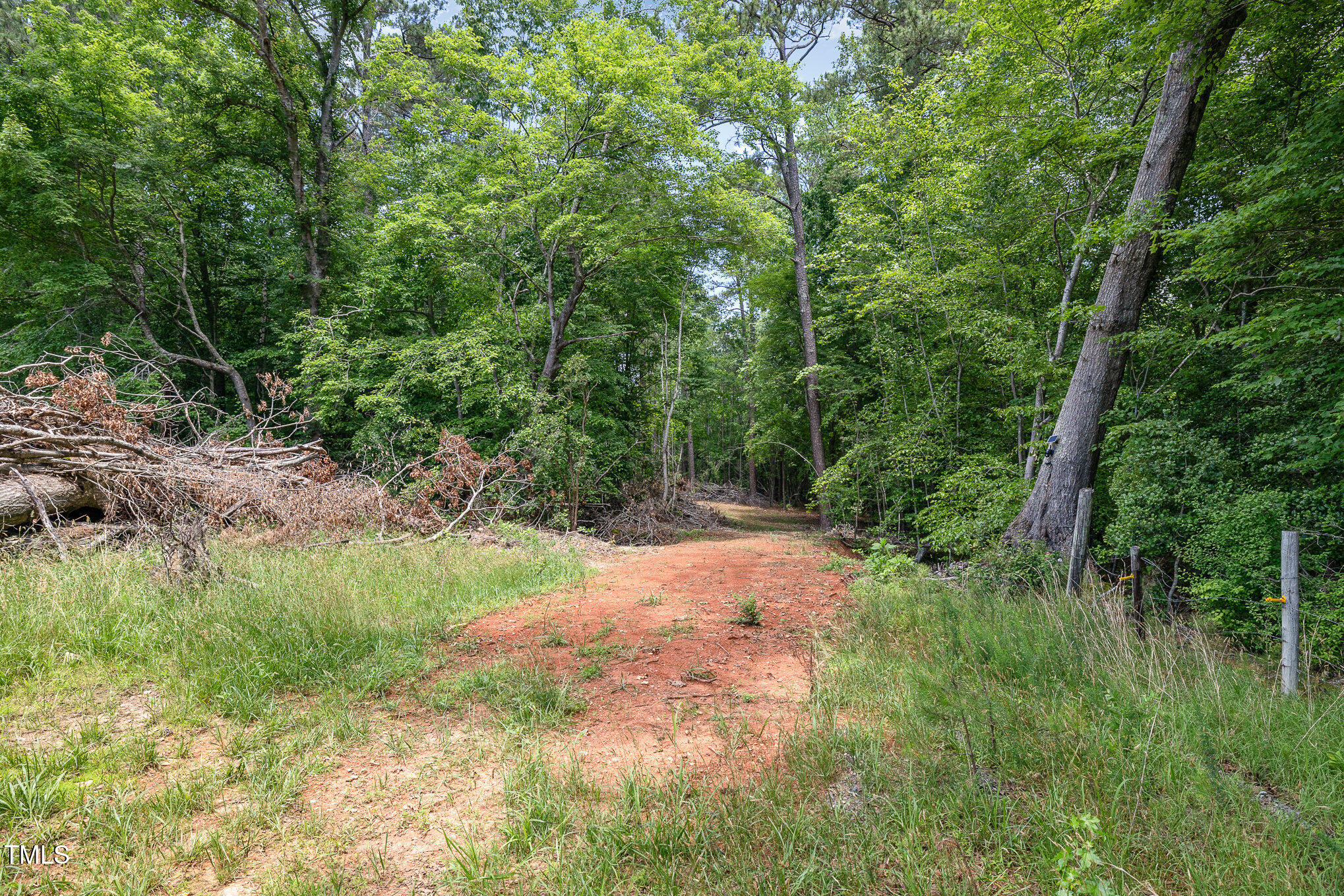 Lot 8 Stallings Road Spring Hope, NC 27882 - Photo 3 of 8 a big yard with lots of green space and deers