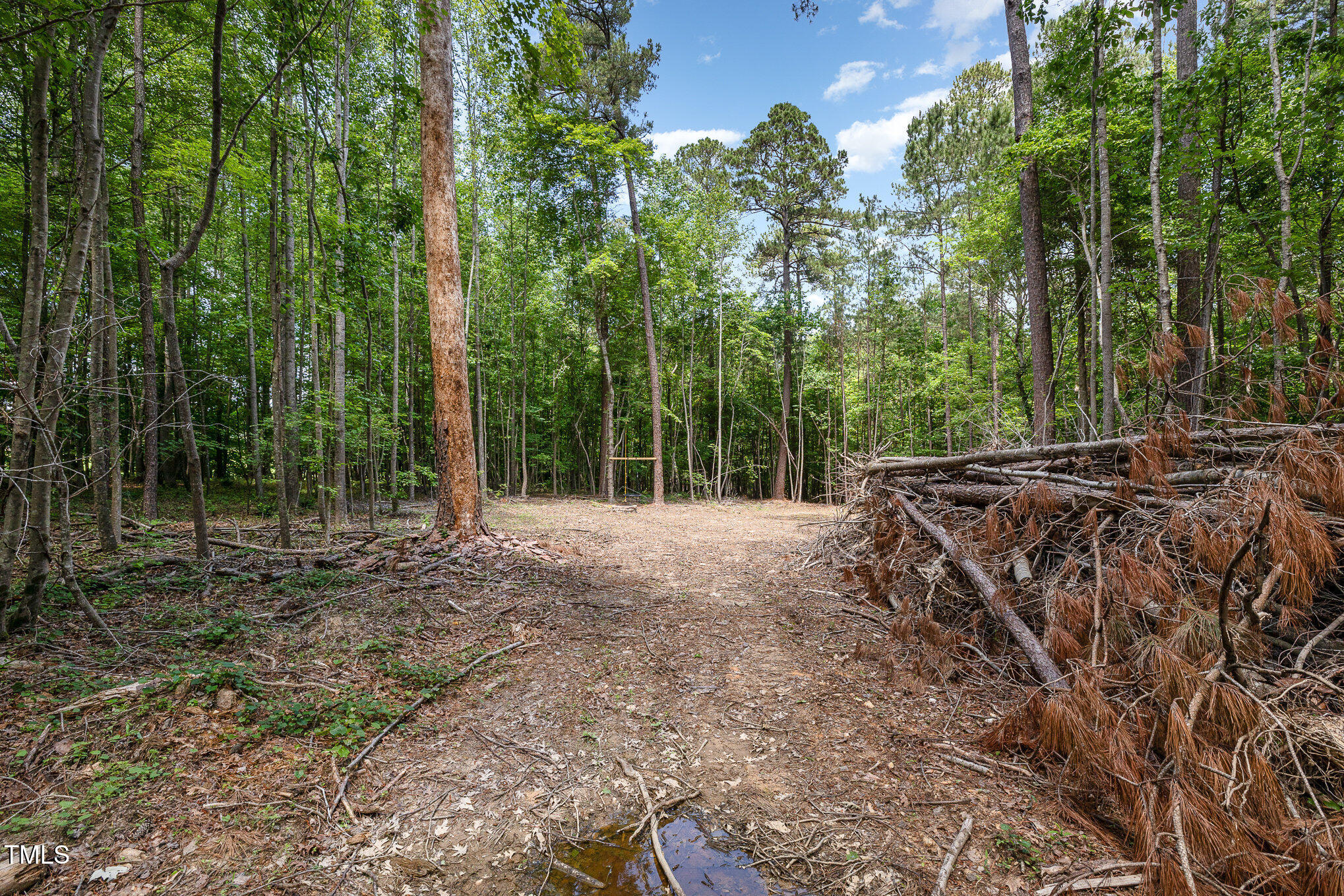 Lot 8 Stallings Road Spring Hope, NC 27882 - Photo 4 of 8 a view of a backyard with trees