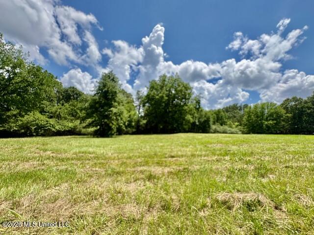 703 Burton Road Senatobia, MS 38668 - Photo 1 of 10 IMG_3818