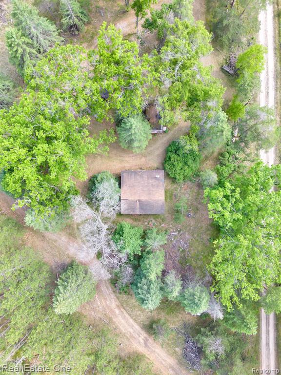 0 East Scribner Road Rose City, MI 48654 - Photo 5 of 20 Gallery Image 5