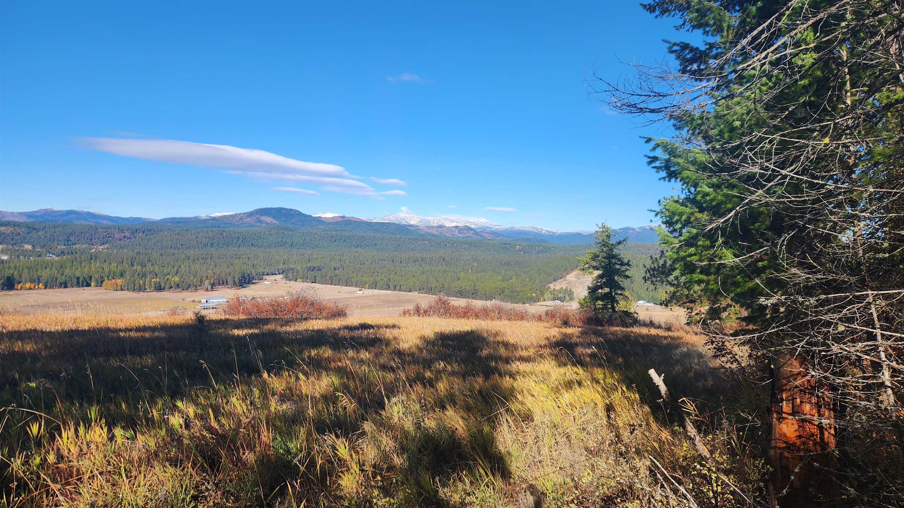 43-xx Lyons Hill Road Springdale, WA 99173 - Photo 13 of 14