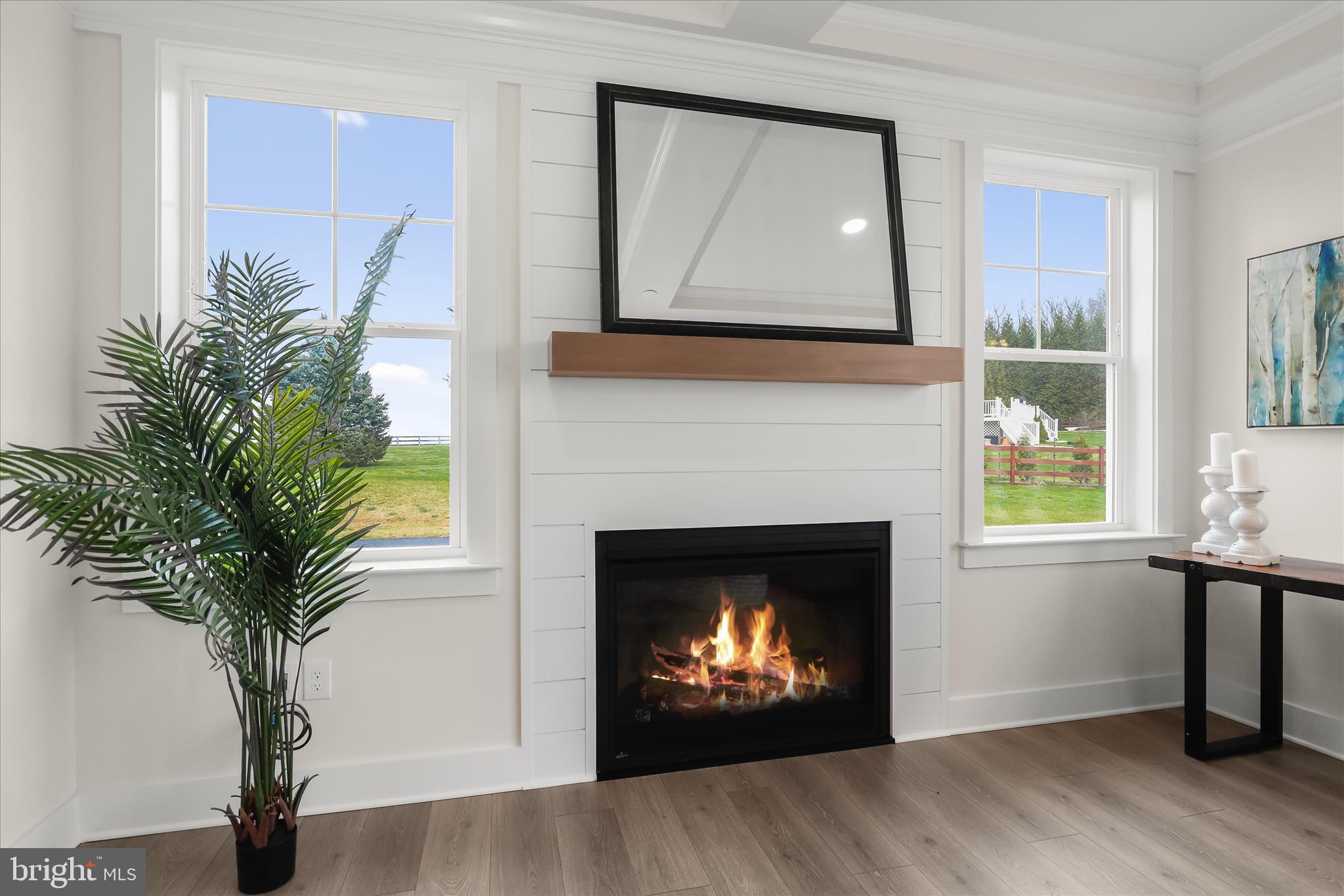 1605 A Oakland Road Freeland, MD 21053 - Photo 23 of 71 Gas Fireplace