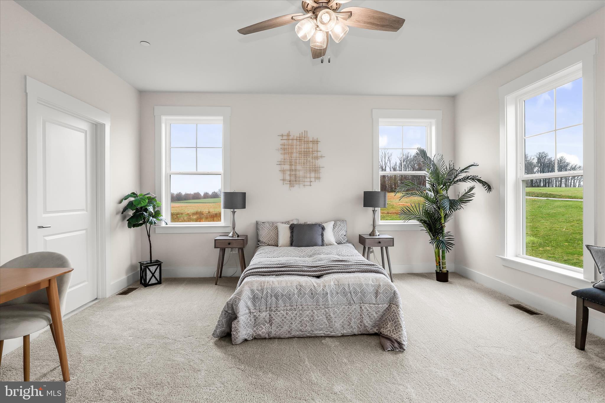 1605 A Oakland Road Freeland, MD 21053 - Photo 30 of 71 Ceiling Fan & Carpet