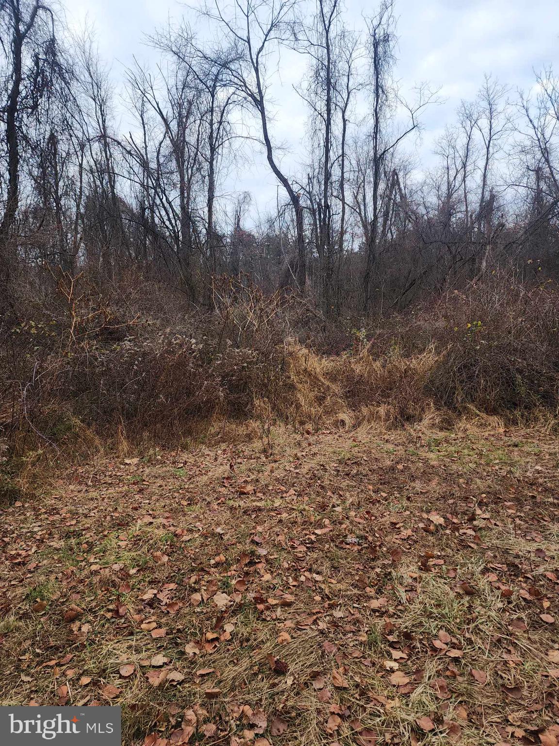 0 Rattling Rock Road Marysville, PA 17053 - Photo 3 of 8 Gallery Image 3