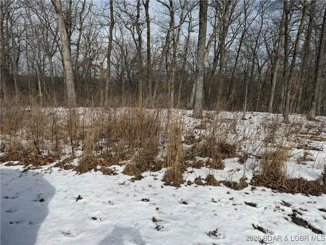 $8,300 | Lot 1046 Bittersweet Rd Lake, Lake Ozark, MO 65049