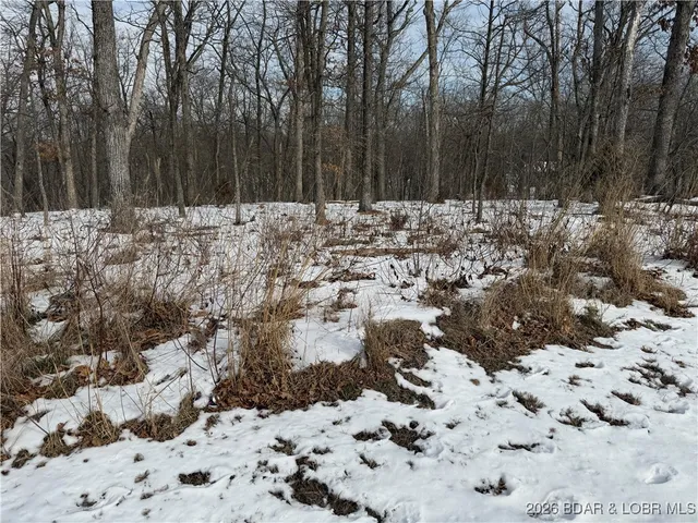 $8,300 | Lot 1046 Bittersweet Rd Lake, Lake Ozark, MO 65049