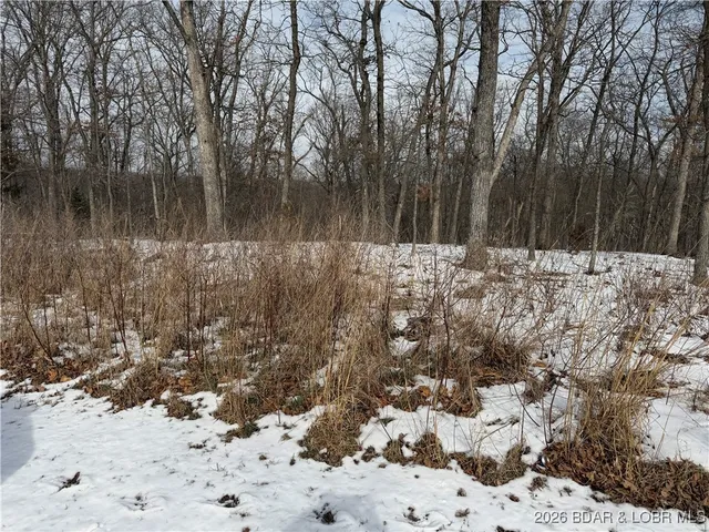 $8,300 | Lot 1046 Bittersweet Rd Lake, Lake Ozark, MO 65049