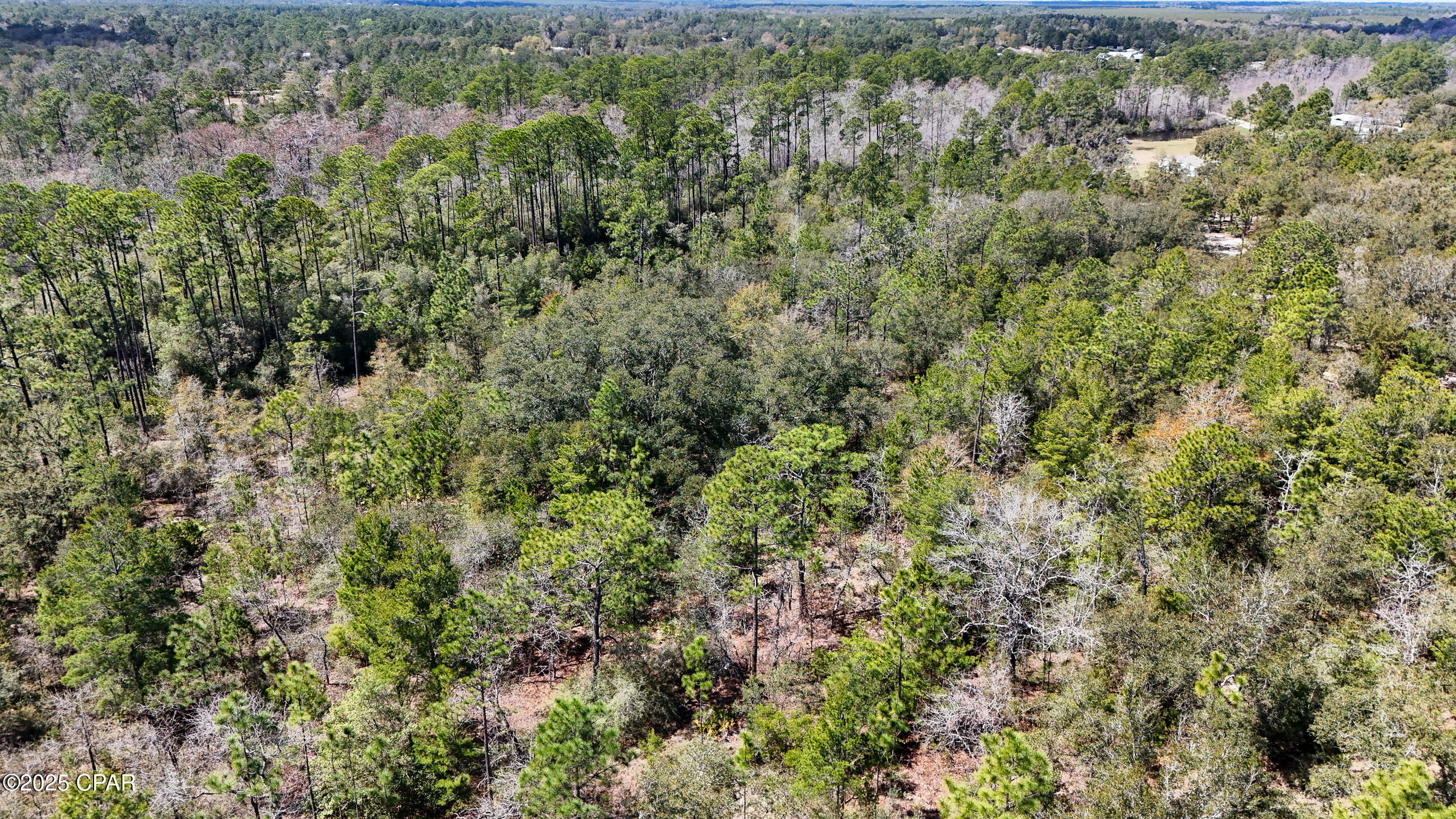 0 East Woodland Road Southport, FL 32409 - Photo 6 of 11