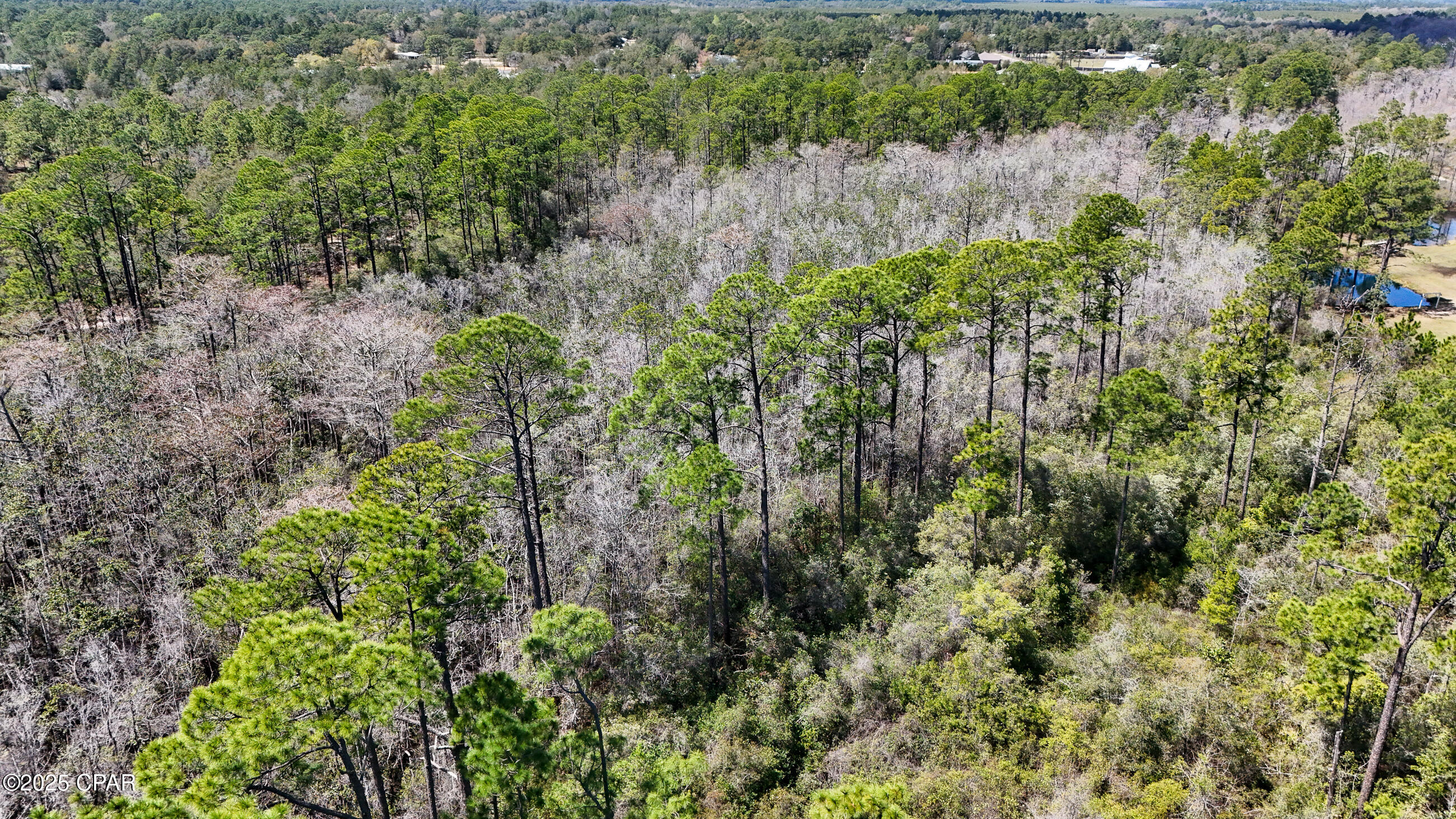0 East Woodland Road Southport, FL 32409 - Photo 8 of 11