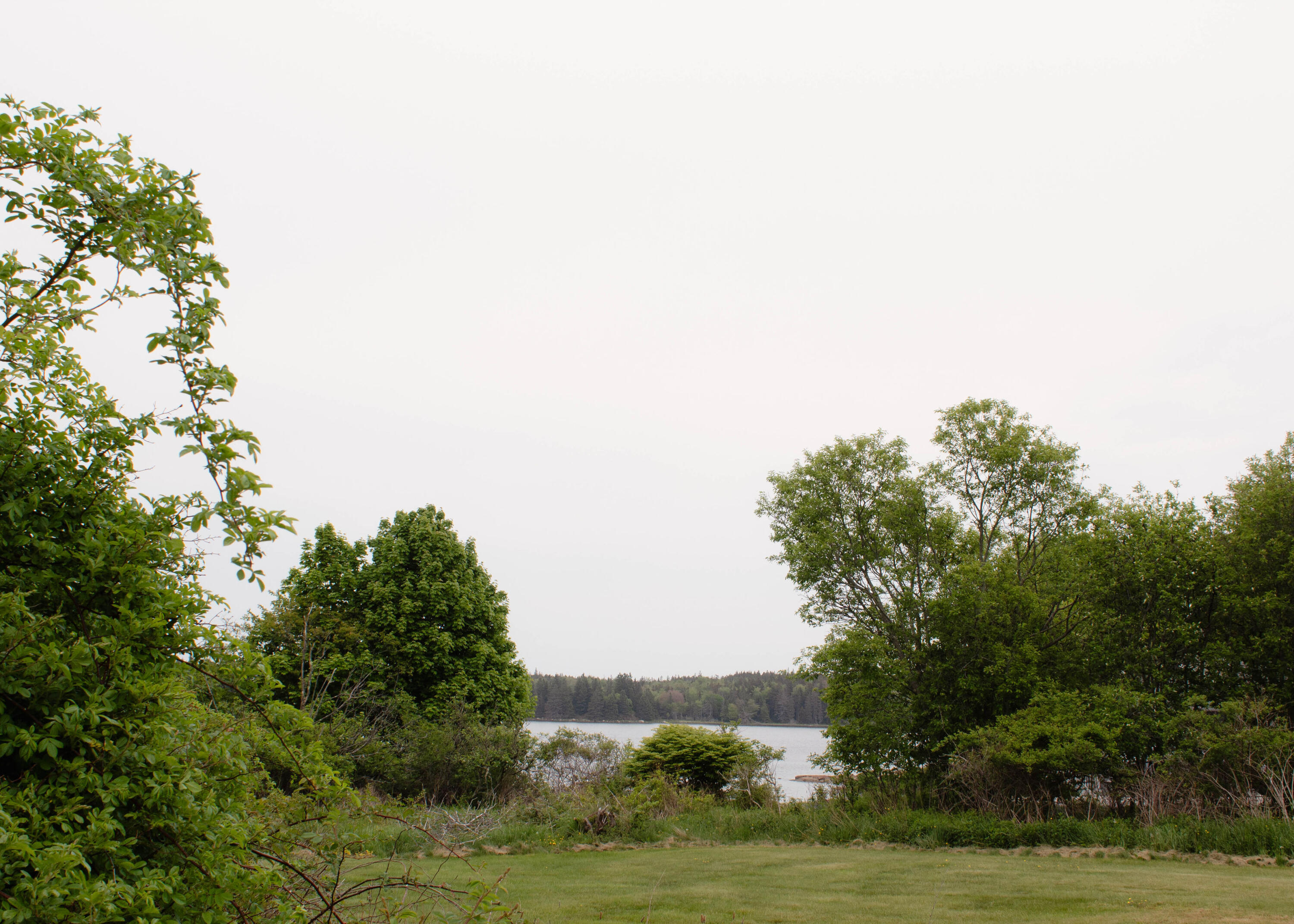 25 Pleasant Street Vinalhaven, ME 04863 - Photo 12 of 32 IMG_6601