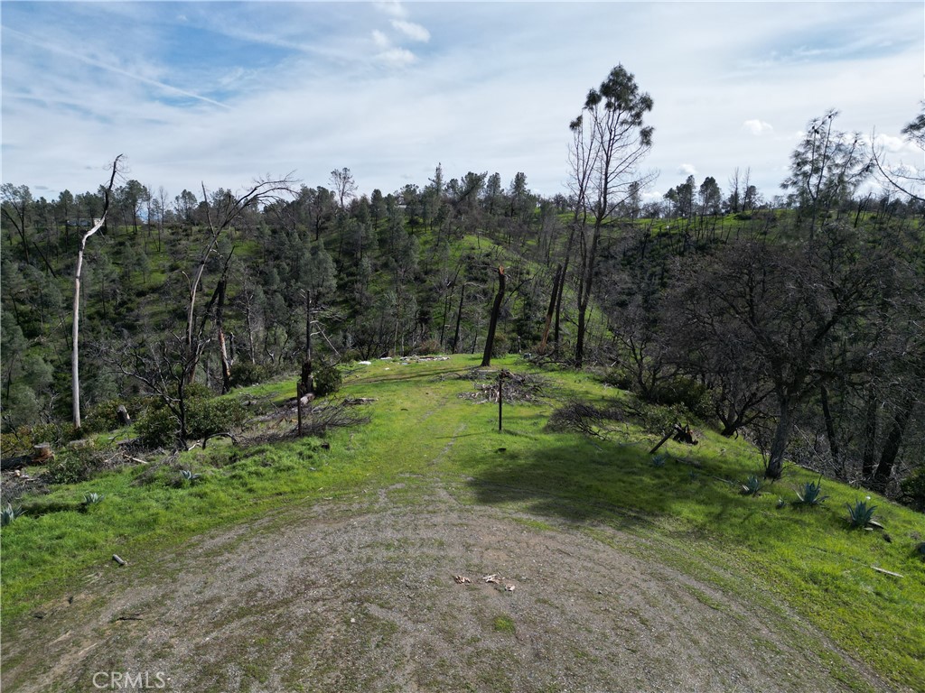 a view of a park with large trees