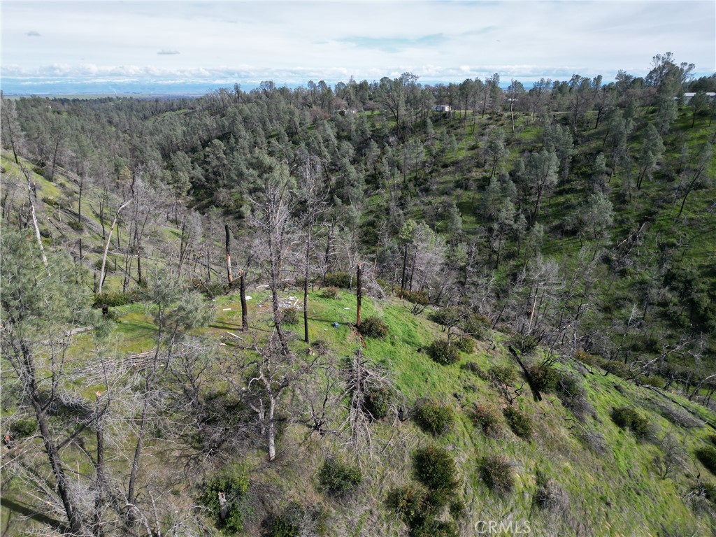7074 Sugar Pine Court Corning, CA 96021 - Photo 12 of 25 a aerial view of a houses with a yard
