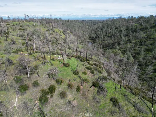 a view of a city with lush green forest
