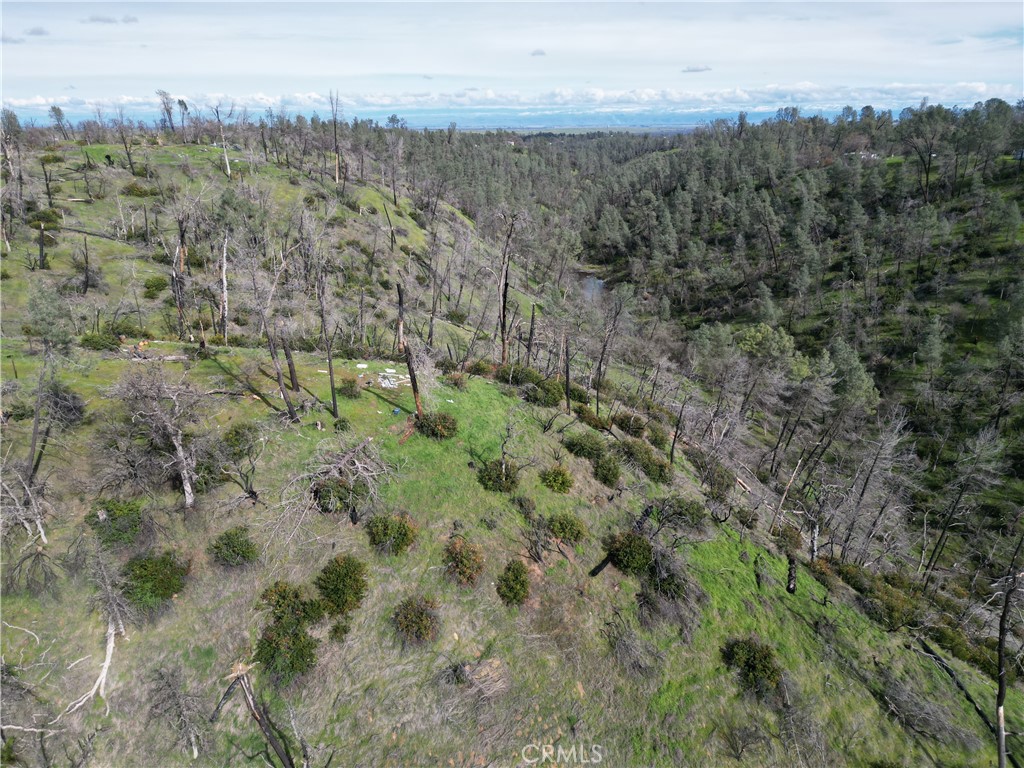 7074 Sugar Pine Court Corning, CA 96021 - Photo 13 of 25 a view of a city with lush green forest