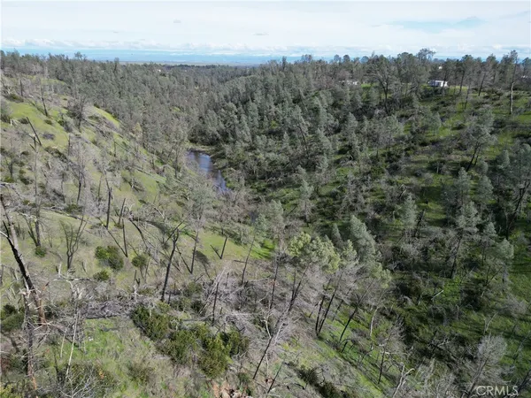 an aerial view of forest