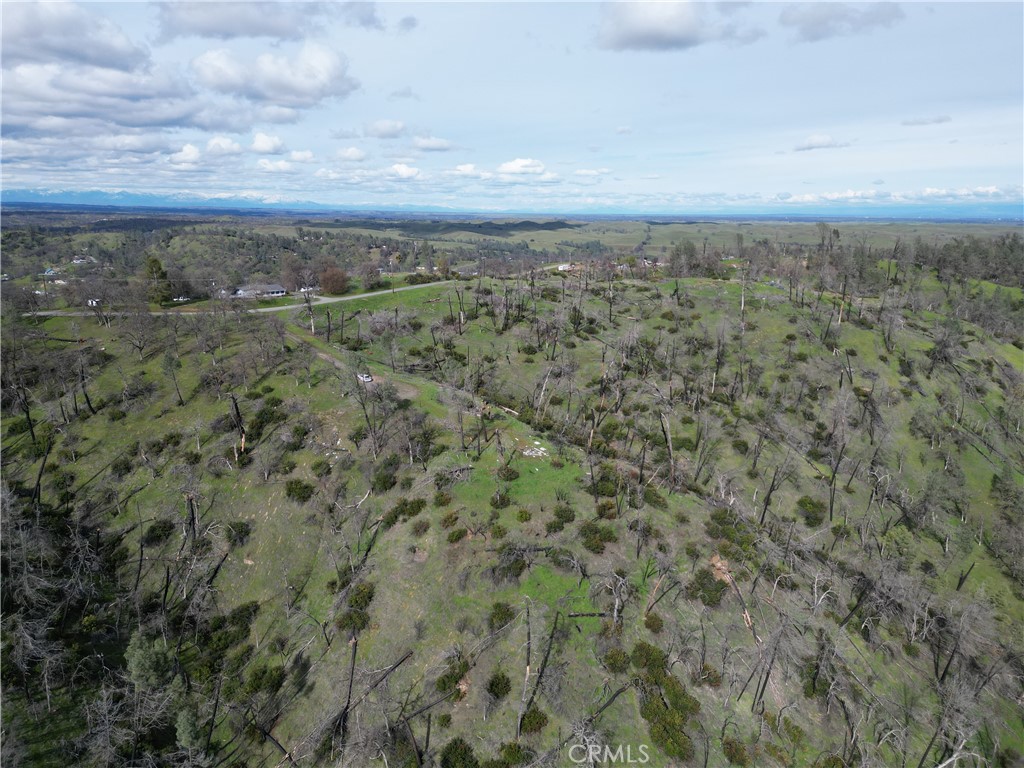 7074 Sugar Pine Court Corning, CA 96021 - Photo 15 of 25 a view of a city with lush green forest