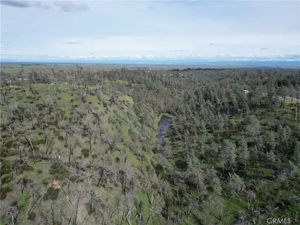 a view of a city with lush green forest